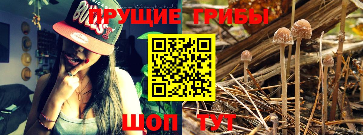 АМФЕТАМИН Михайловка