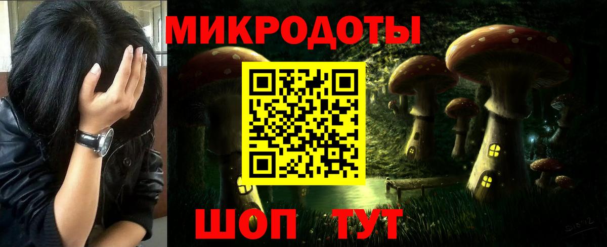 Михайловка  Псилоцибиновые грибы Psilocybe  Вход с VPN 